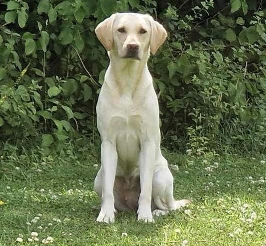 Wilma