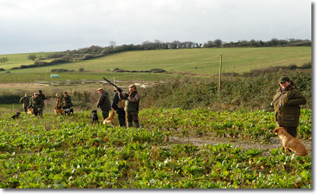 Field Trial Training