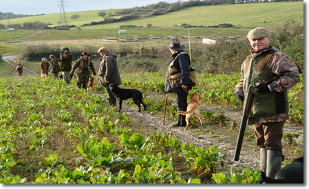 Field Trial Training