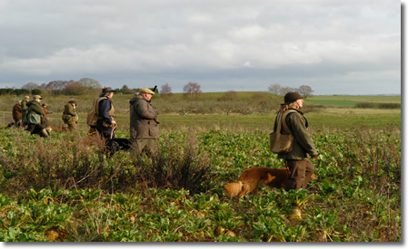 Field Trial Training