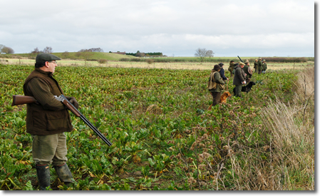 Field Trial Training