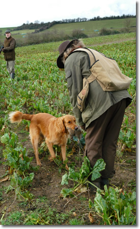 Field Trial Training