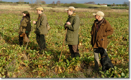 Field Trial Training