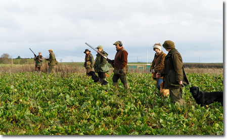 Field Trial Training